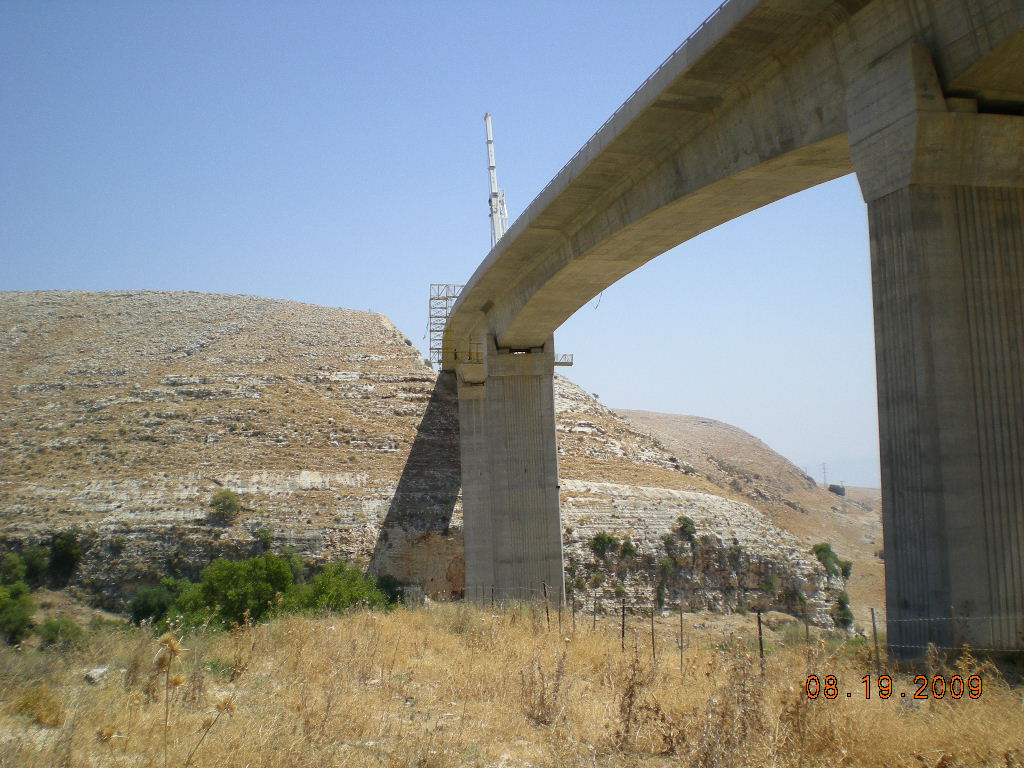 סקירת גשר עכברה